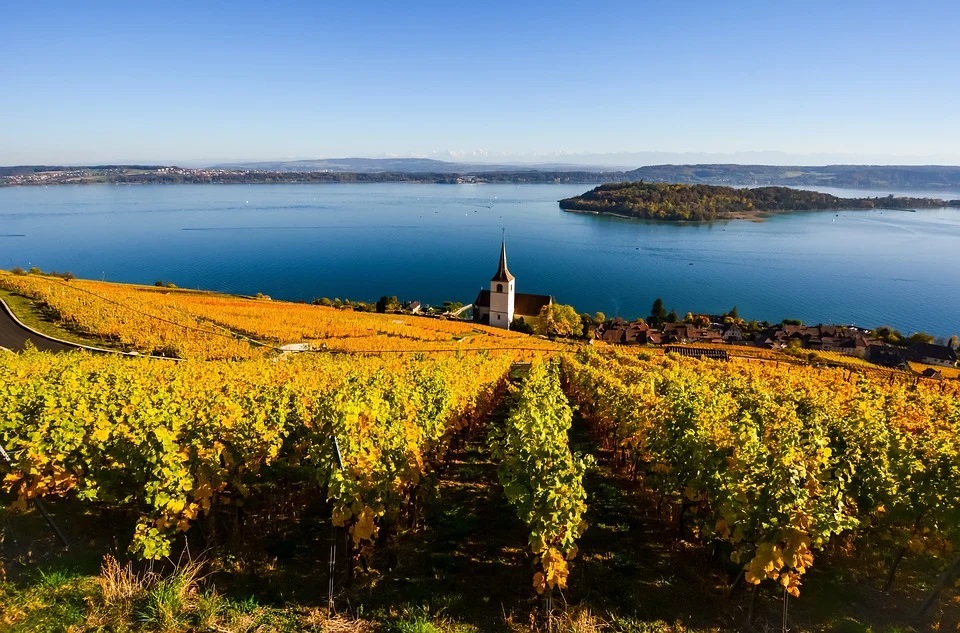 Le vin a en parti causé le déclin de l'hydromel.